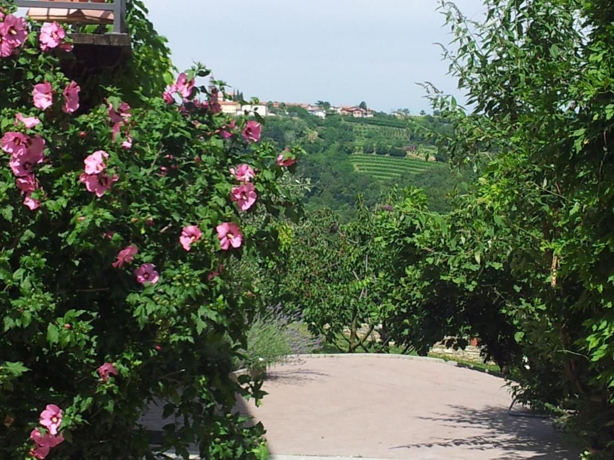 Boutique Hotel Dvor Доброво Экстерьер фото